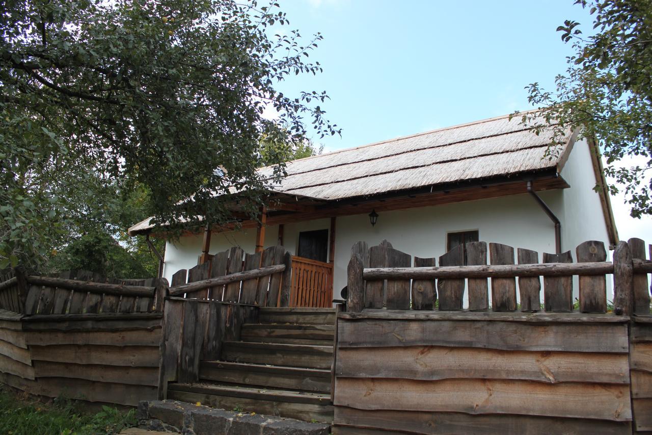 Отель Dykyi Khutir Melniki  Экстерьер фото